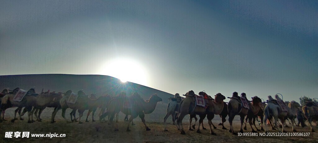 甘肃青海环草原日落时的壮美景观