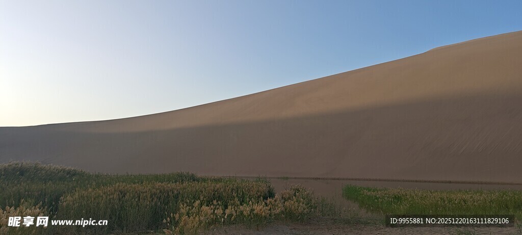 甘肃青海环线沙漠边缘的绿植景观