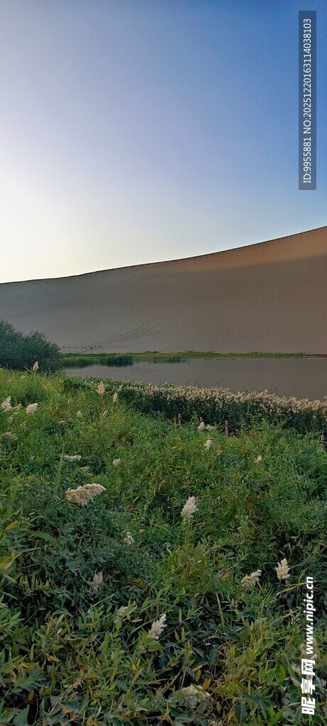 甘肃青海环草原与远山的美丽景致
