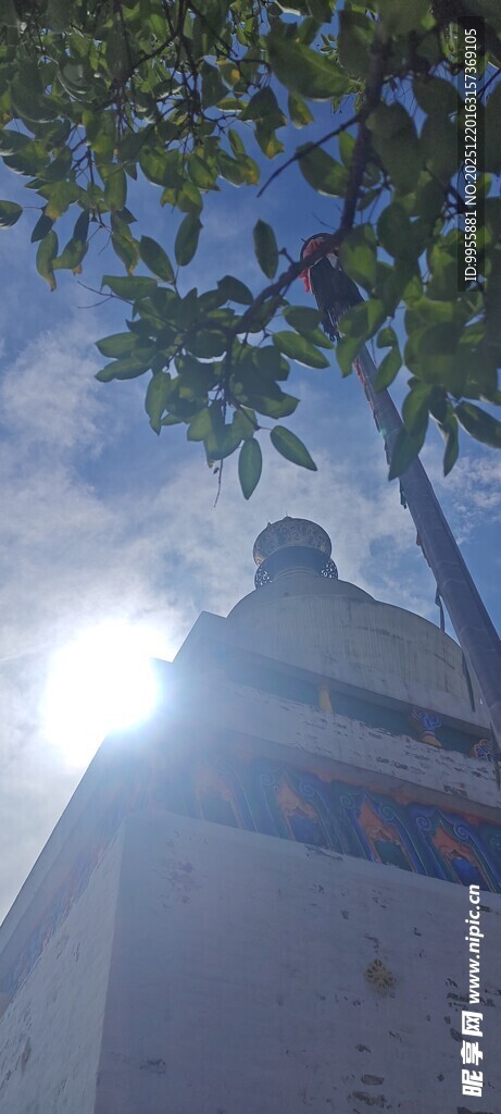 甘肃青海环透过枝叶看天空的光影