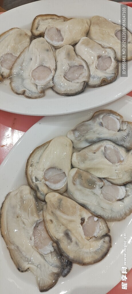 美食美味新鲜生蚝摆盘展示