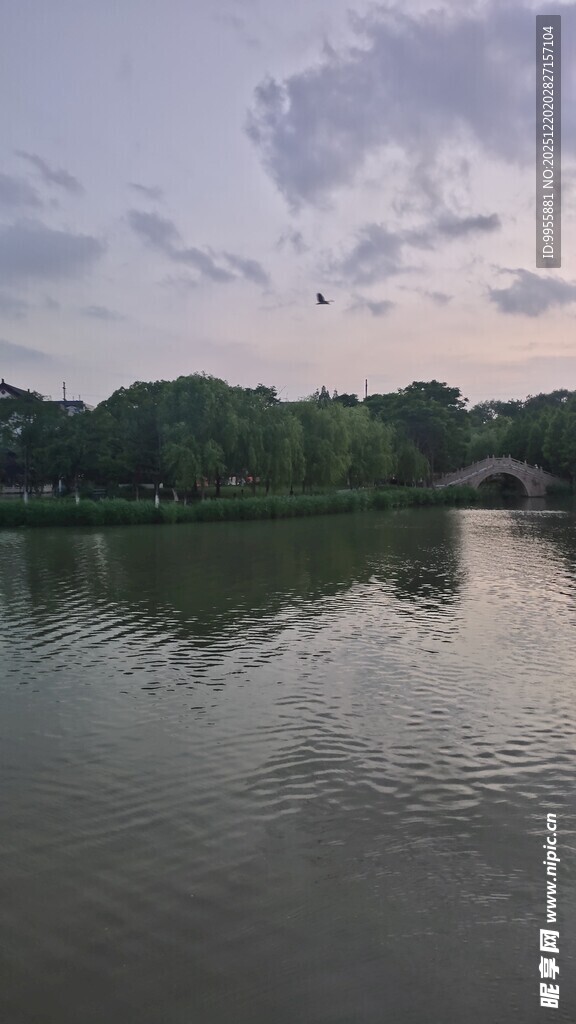 华东樱花湖畔黄昏美景