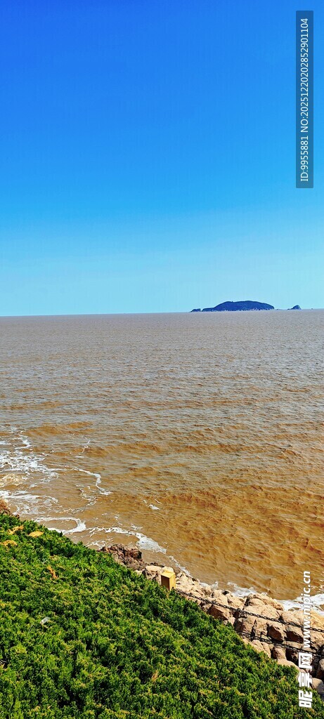 华东樱花海边绿意与辽阔水域景观