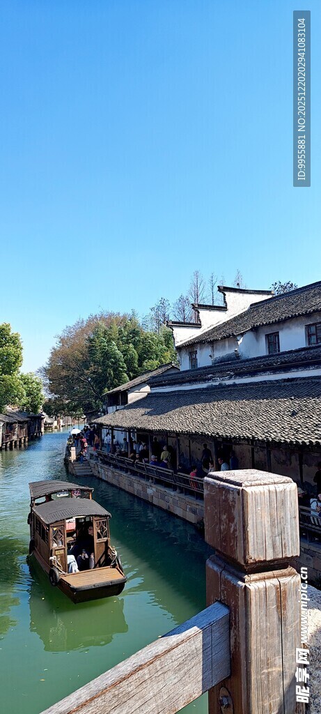 华东樱花江南水乡河道古朴景致
