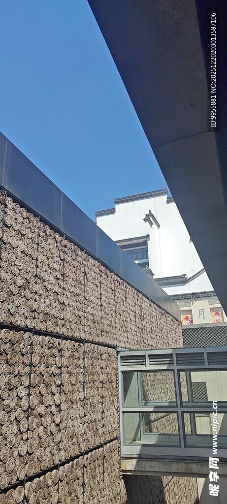 华东樱花现代建筑外墙与开阔天空