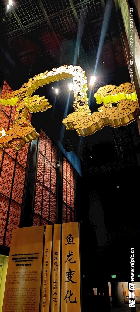 华东樱花璀璨龙形灯光装置夜景