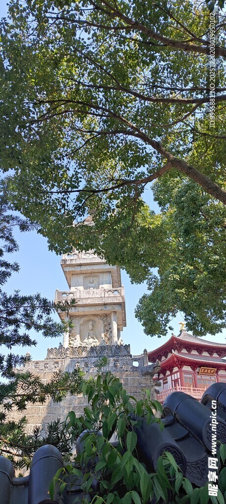 华东樱花绿树掩映下的古建筑景观