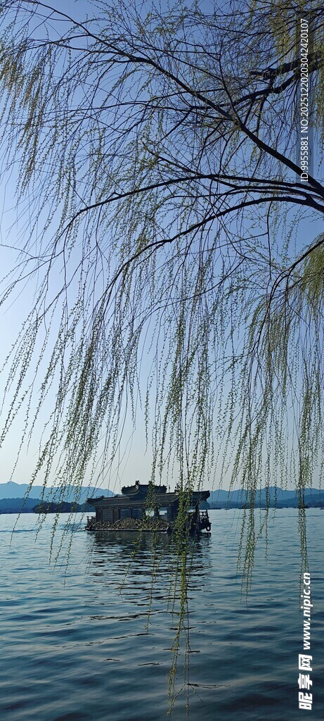 湖畔垂柳静美水上风光