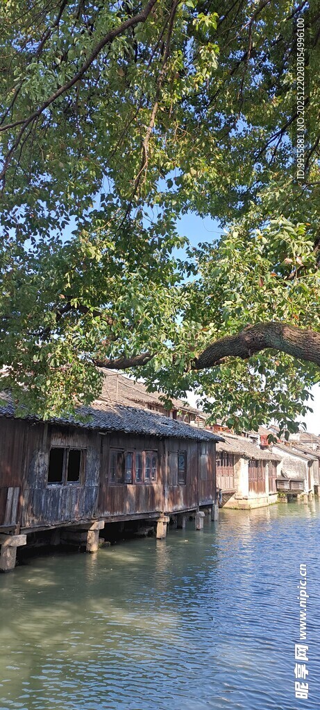 湖畔木屋静谧自然景致