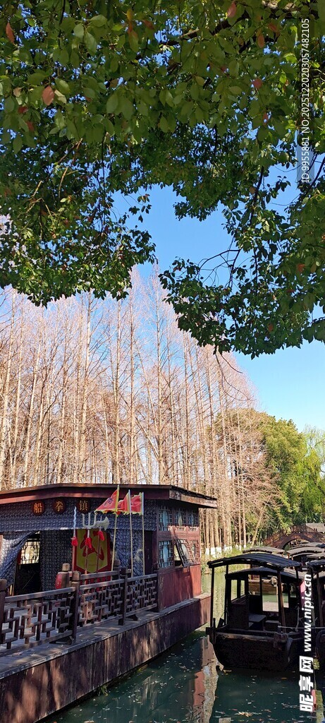 华东樱花水乡河畔的古朴船只