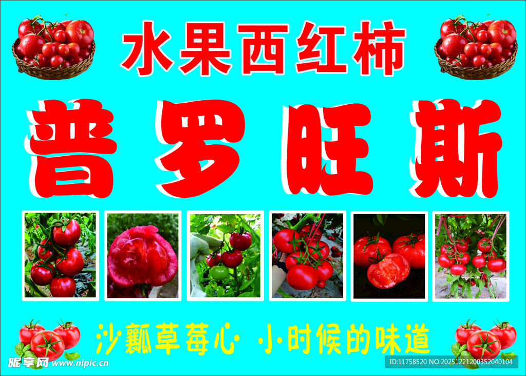 普罗旺斯水果西红柿展示