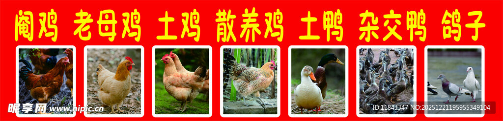 多彩美甲图案展示