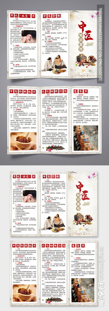中医知识宣传单