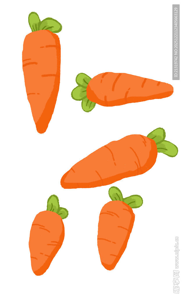 手绘胡萝卜