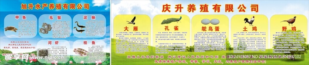 水产养殖海报 水产品种介绍