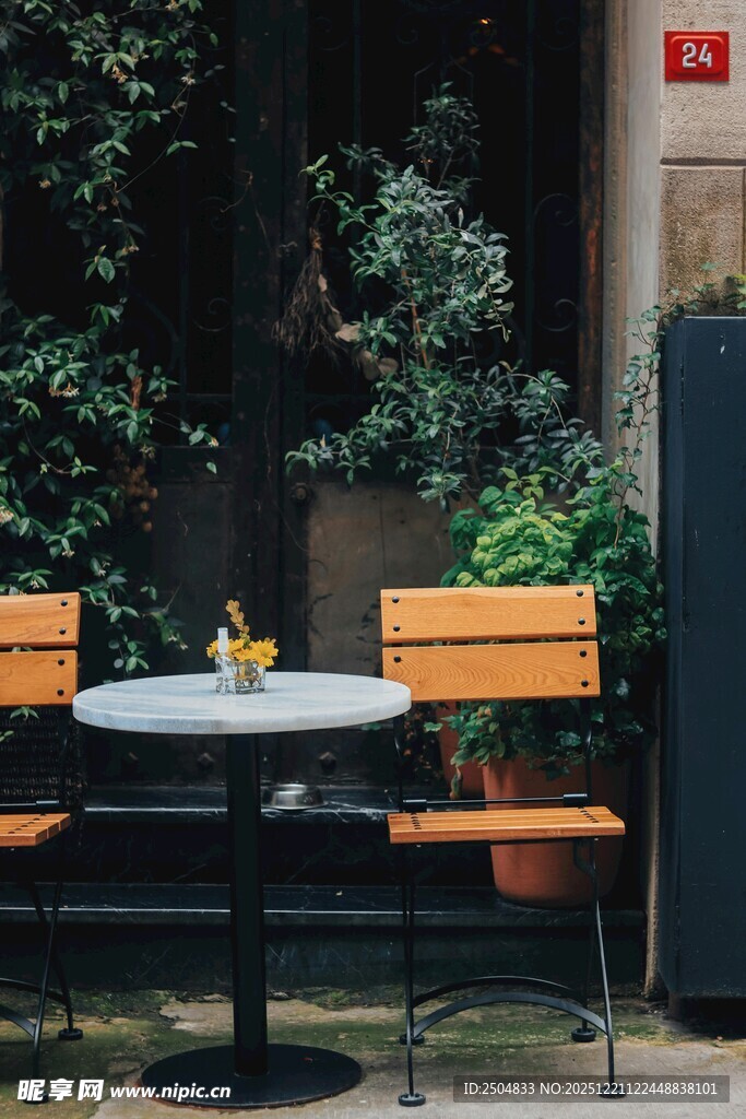 室内绿植边的桌椅组合