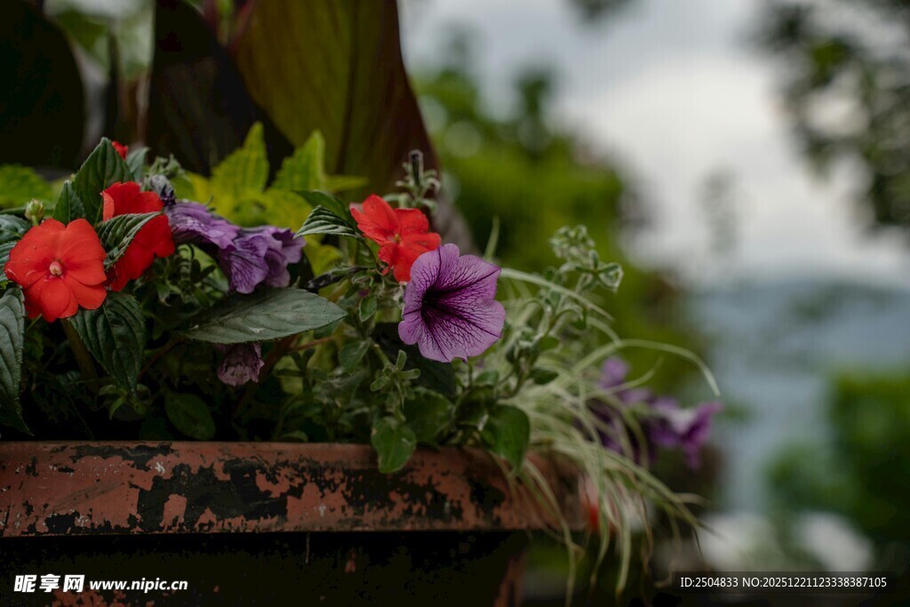 多彩花卉装点古朴花器