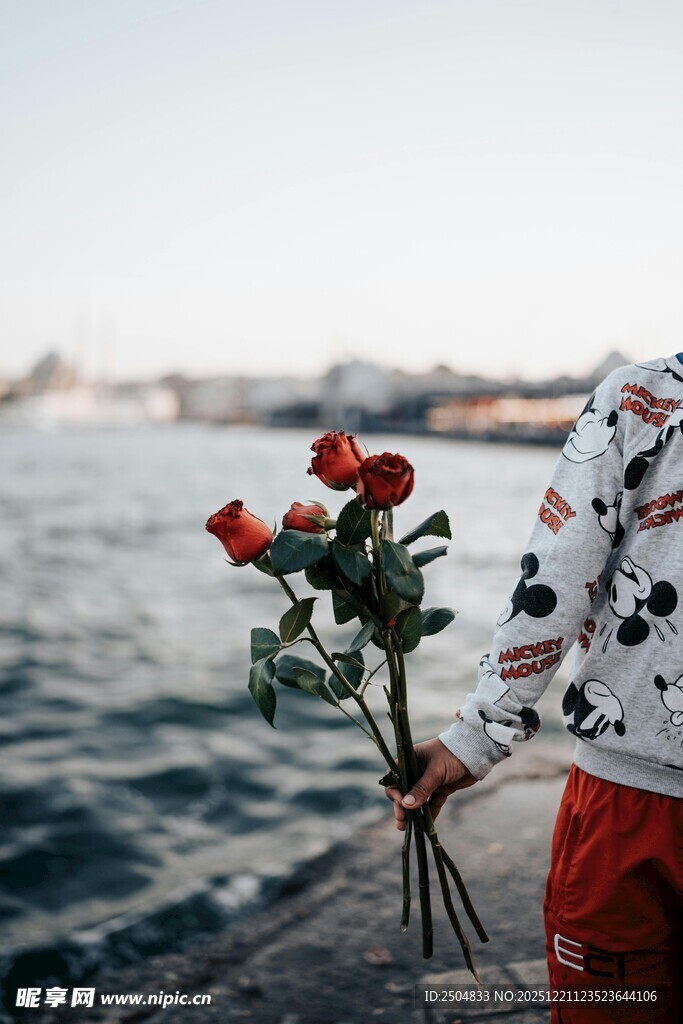 海边手持红玫瑰的背影