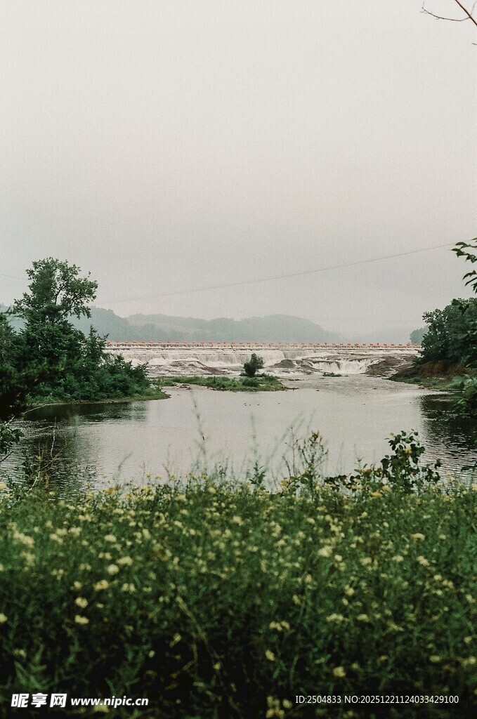 湖畔绿植与朦胧水景