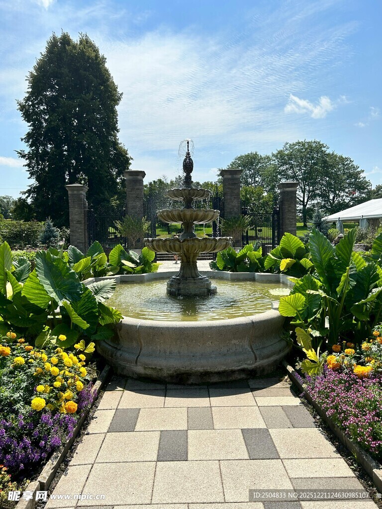 花园中的精致喷泉景观