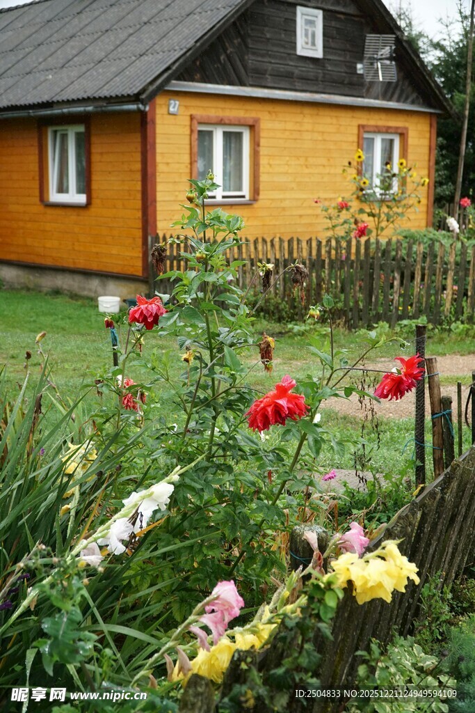 乡村小屋旁的缤纷花卉