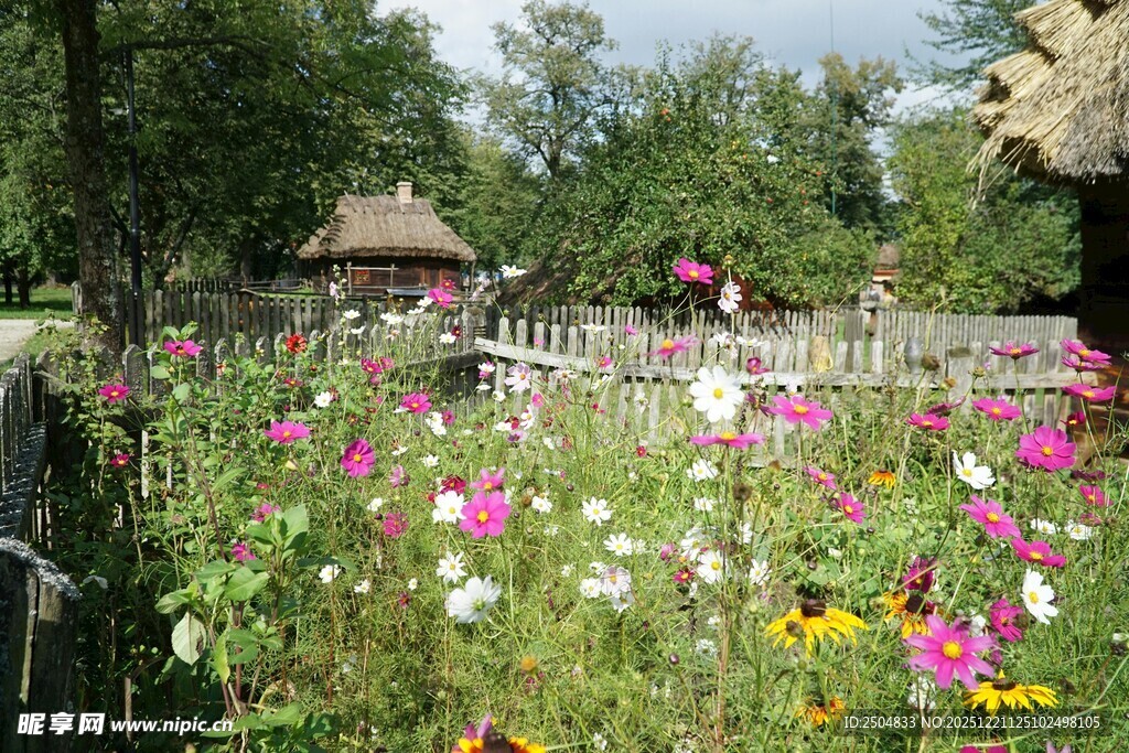 缤纷花海中的田园风光