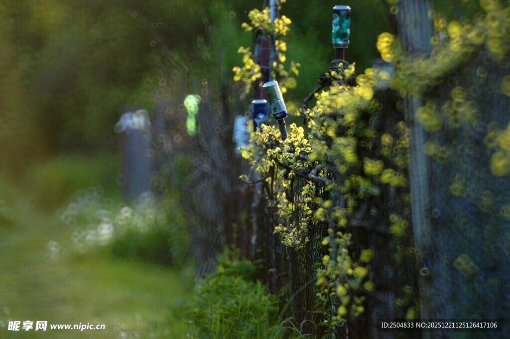 春日栅栏旁的嫩绿植物