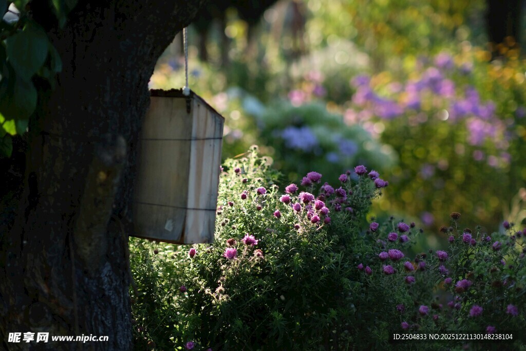 树旁精致鸟屋与缤纷花草