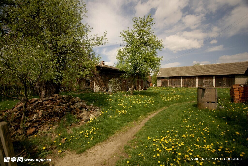 乡村小径旁的宁静农家