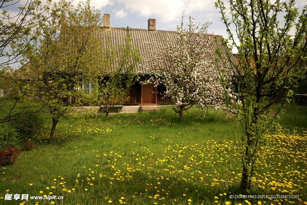 春日小屋旁的缤纷花草