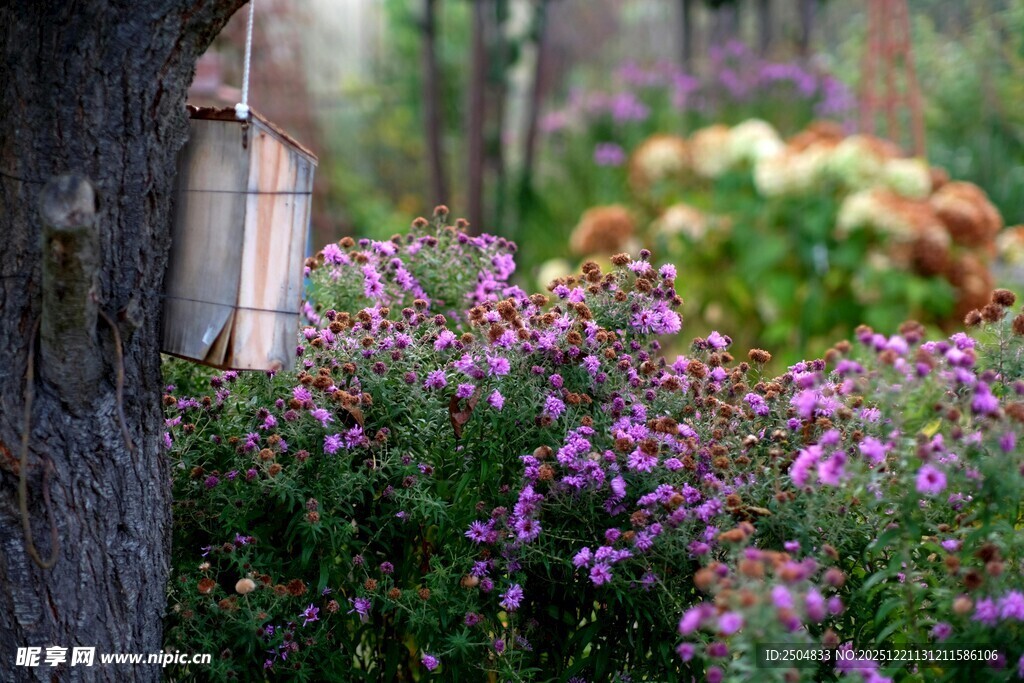 树旁花丛中的温馨小灯