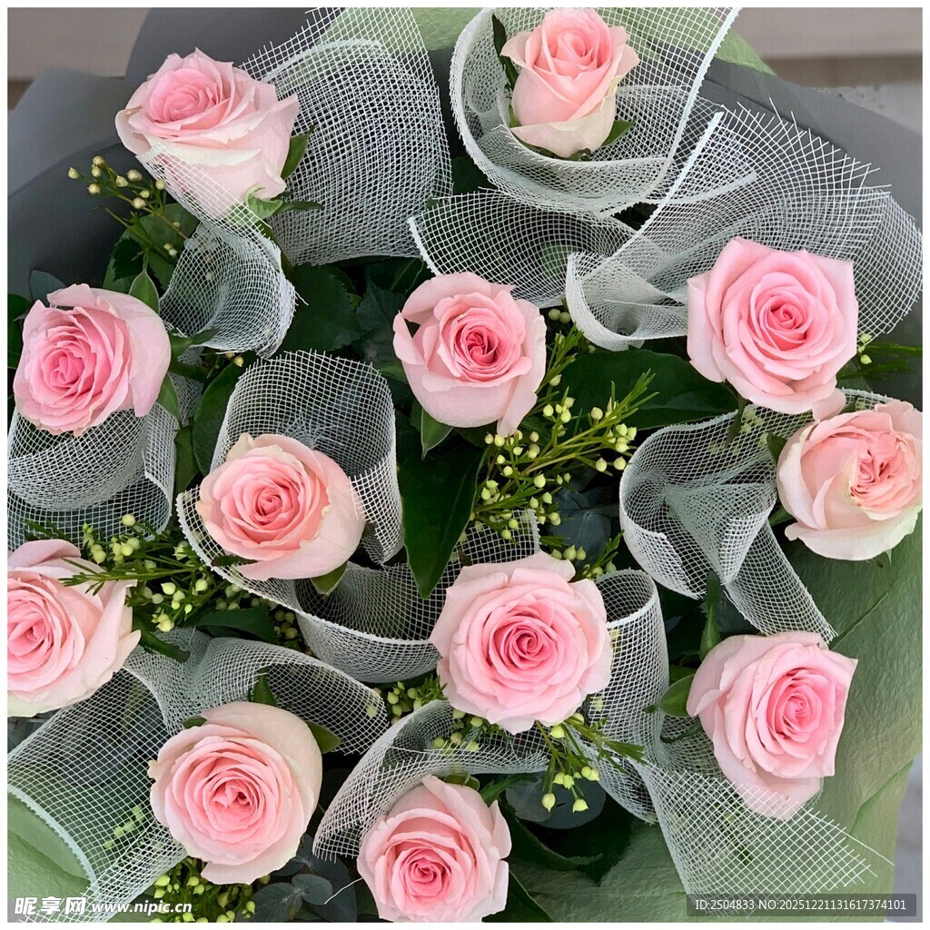 粉色玫瑰花束优雅绽放