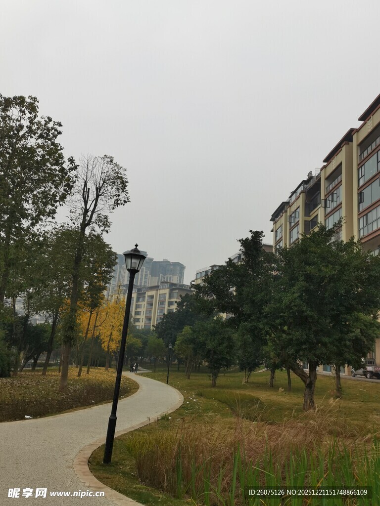 小区旁的宁静林荫小道