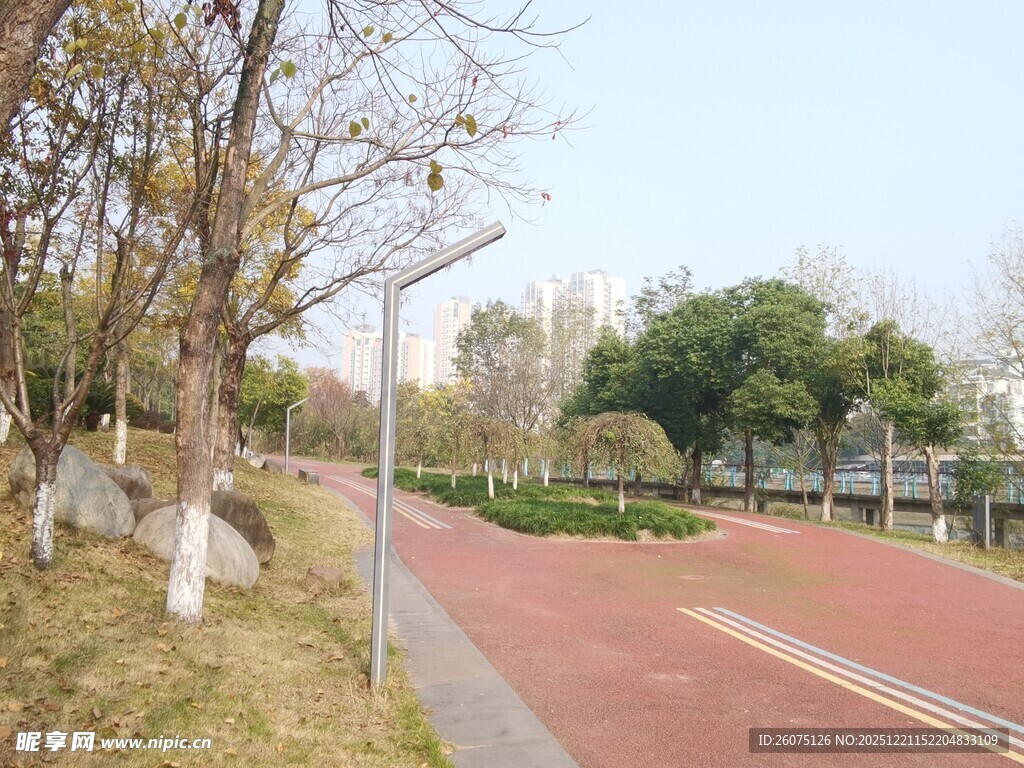 城市公园中的红色健身步道