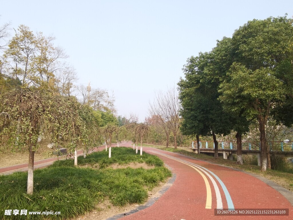 城市中的红色林荫骑行道