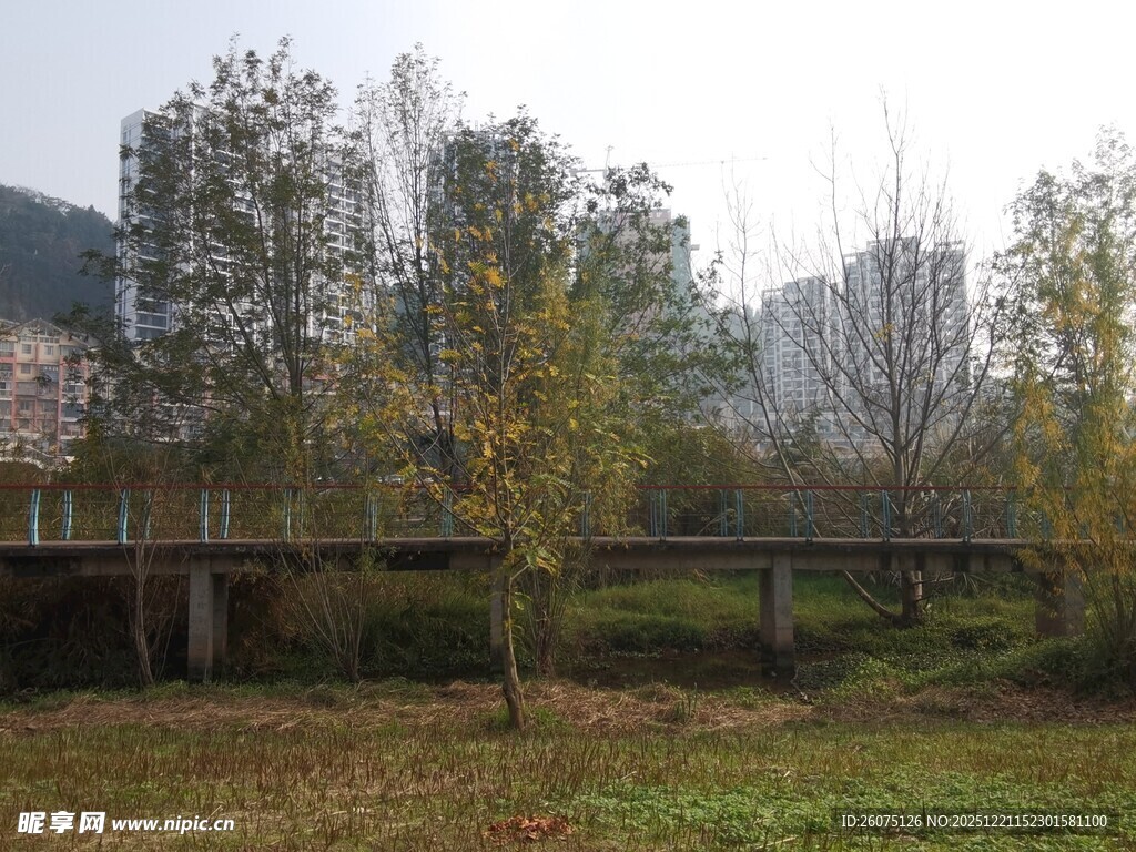 秋日郊野桥梁风景图