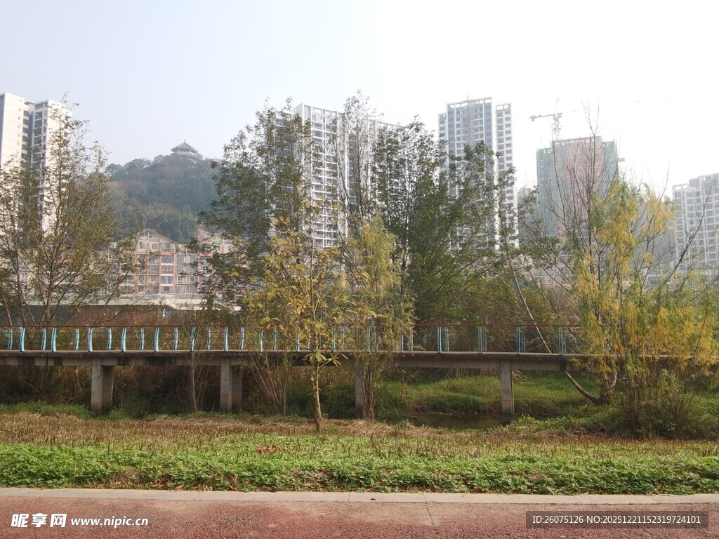 城市河畔秋日风景