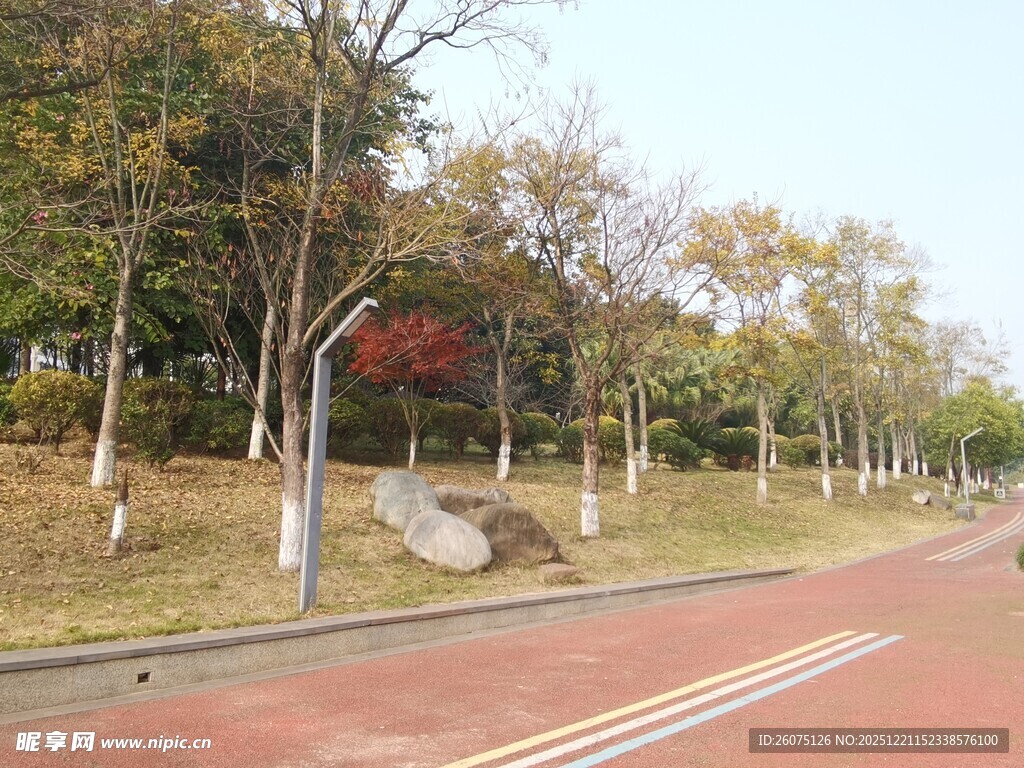 秋日林间的红色骑行道