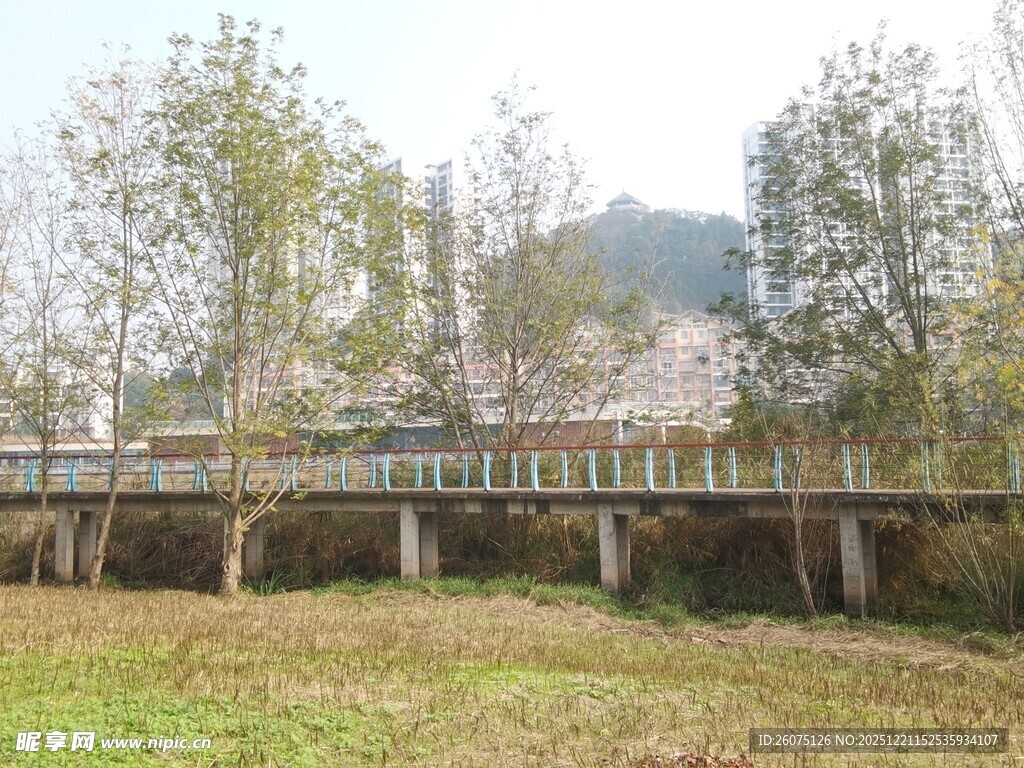 乡村田野间的古朴长桥