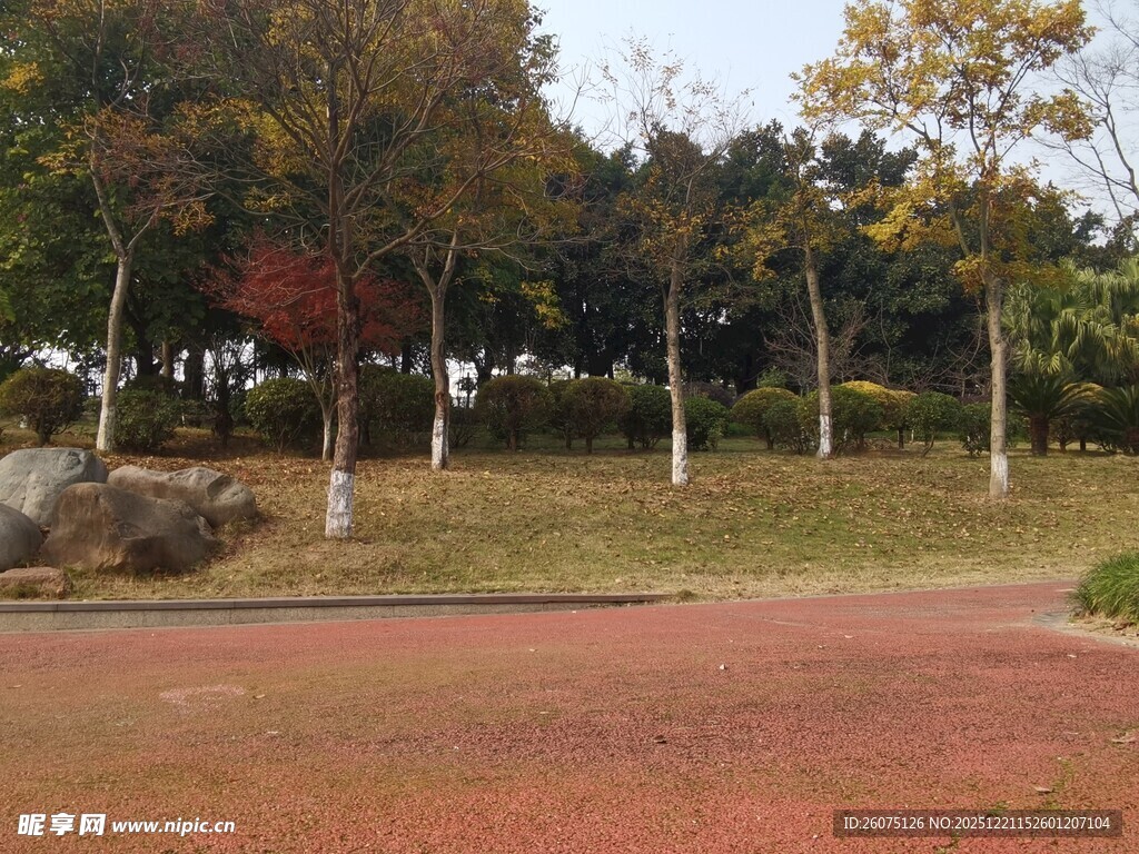 秋日公园的宁静景致