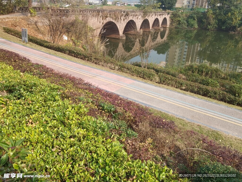 河畔古桥边的绿意景致