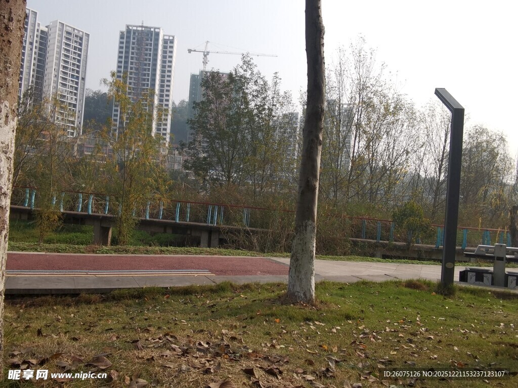 城市公园中的开阔休闲场景