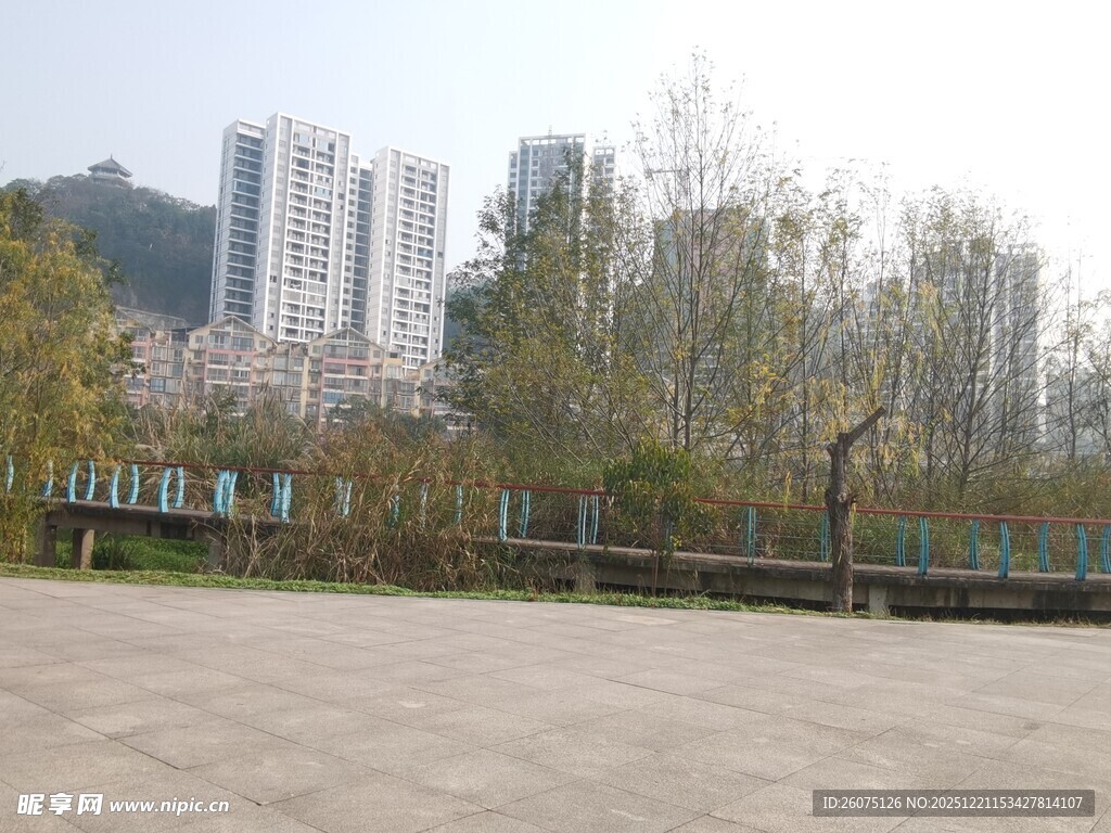 城市公园的开阔休闲场景