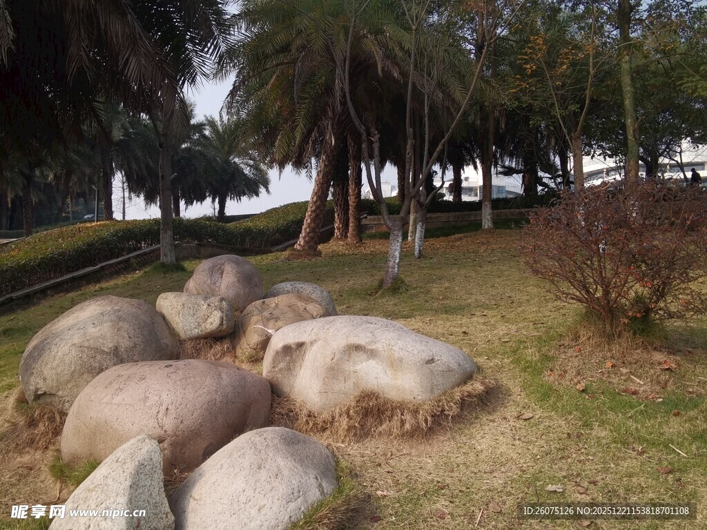 户外草地旁的巨石景观