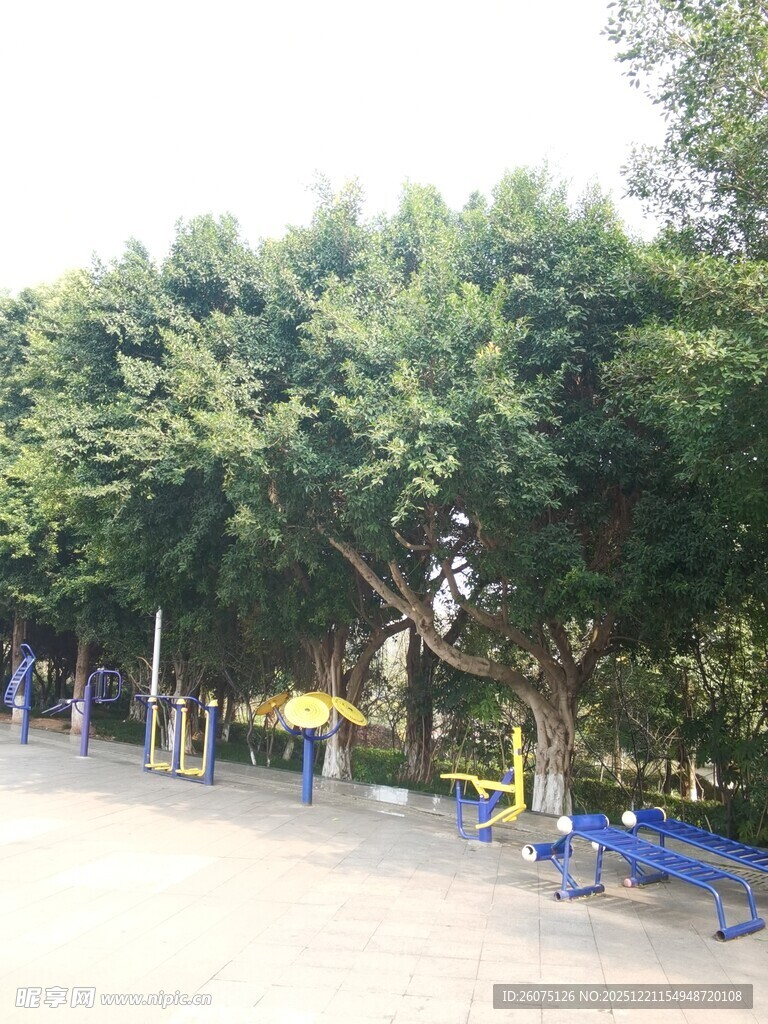 公园绿树成荫的休闲场景