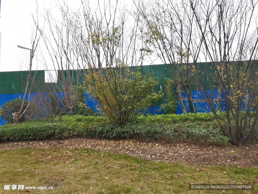 户外绿植与围挡景观