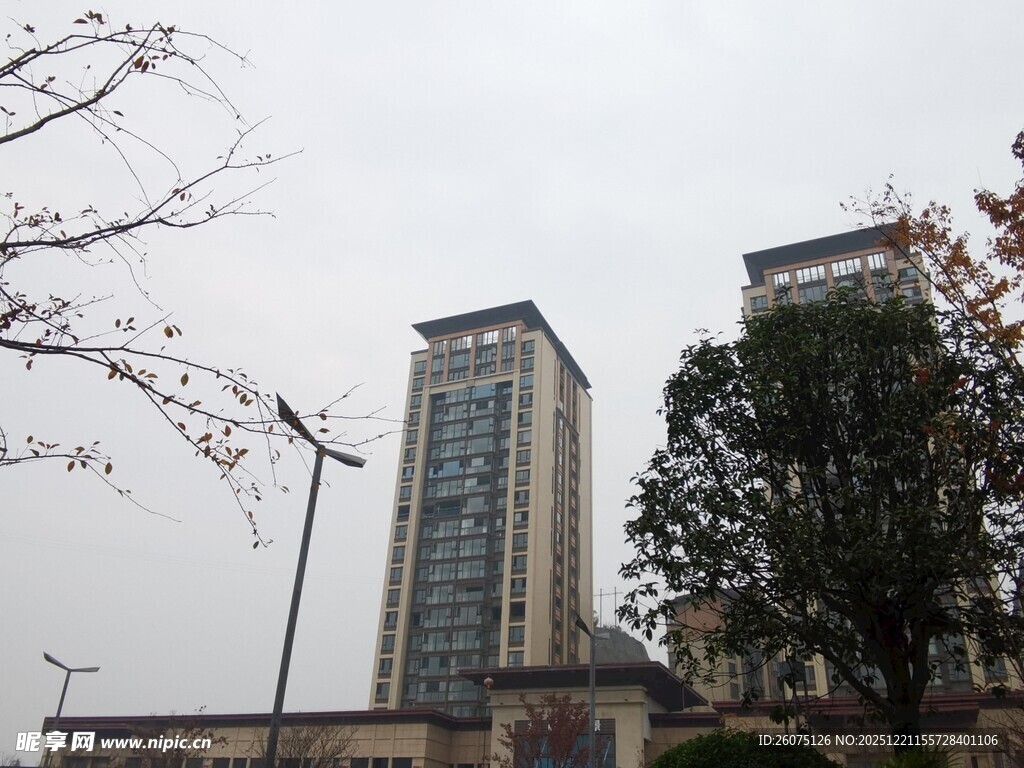 城市高楼与树木景观