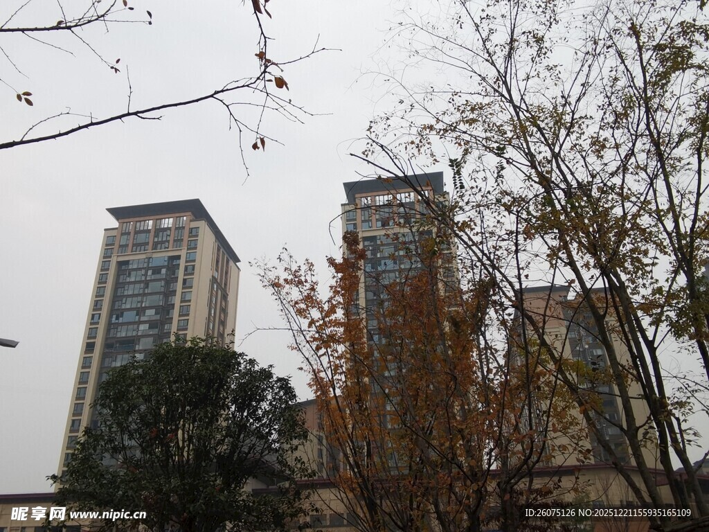 城市高楼与秋景树影