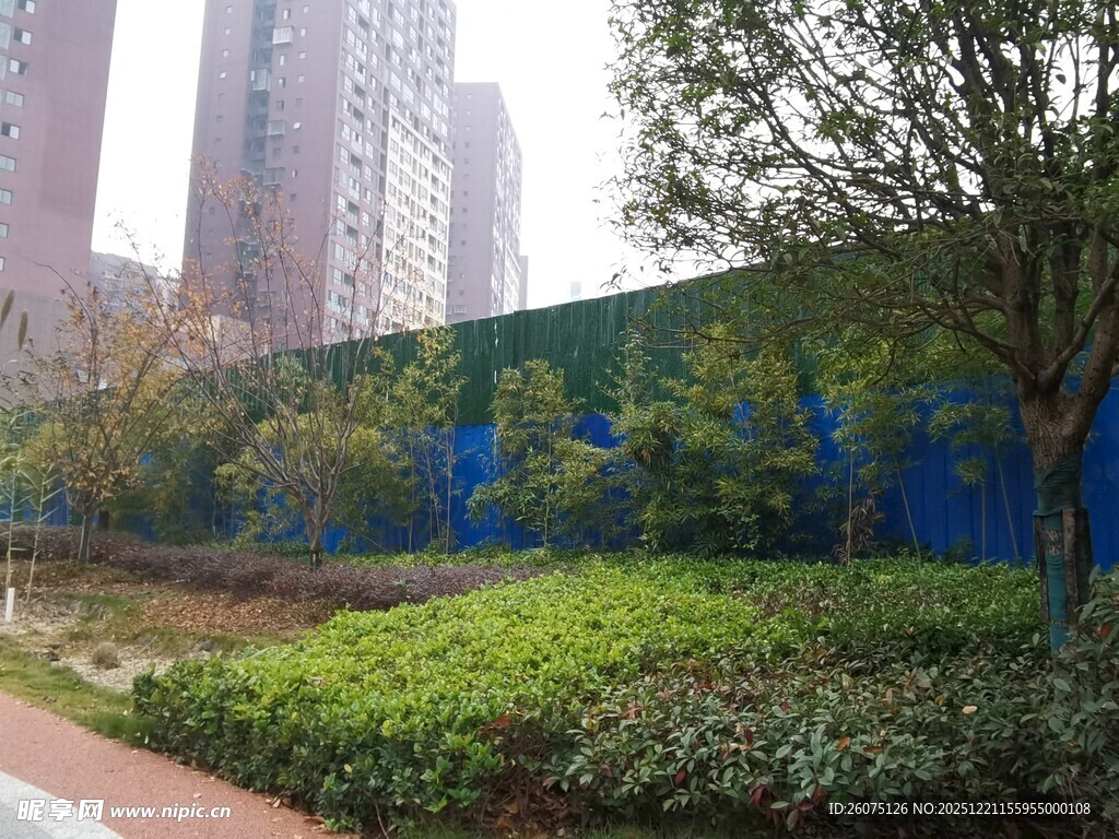 城市中的绿植景观与建筑