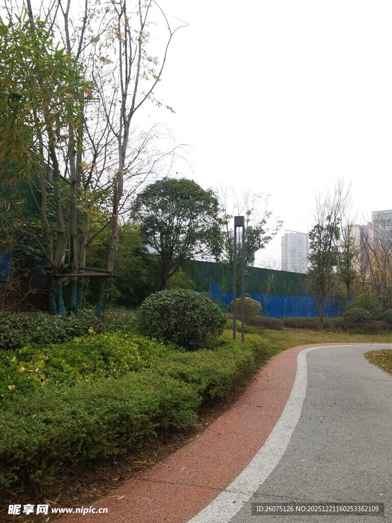 公园蜿蜒小路与绿植景观